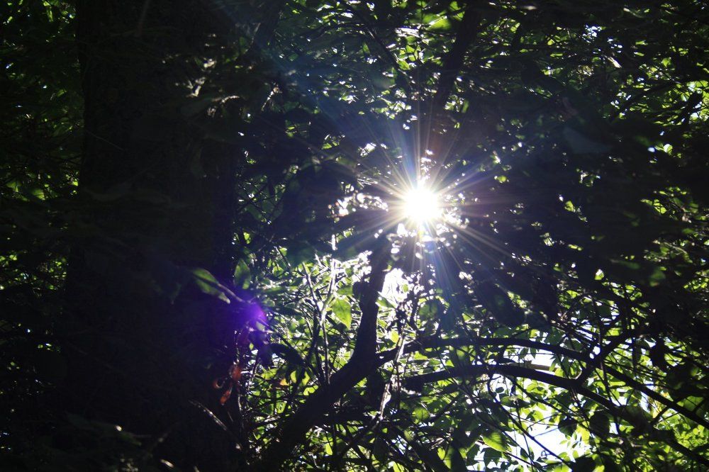 Photograph by Алена