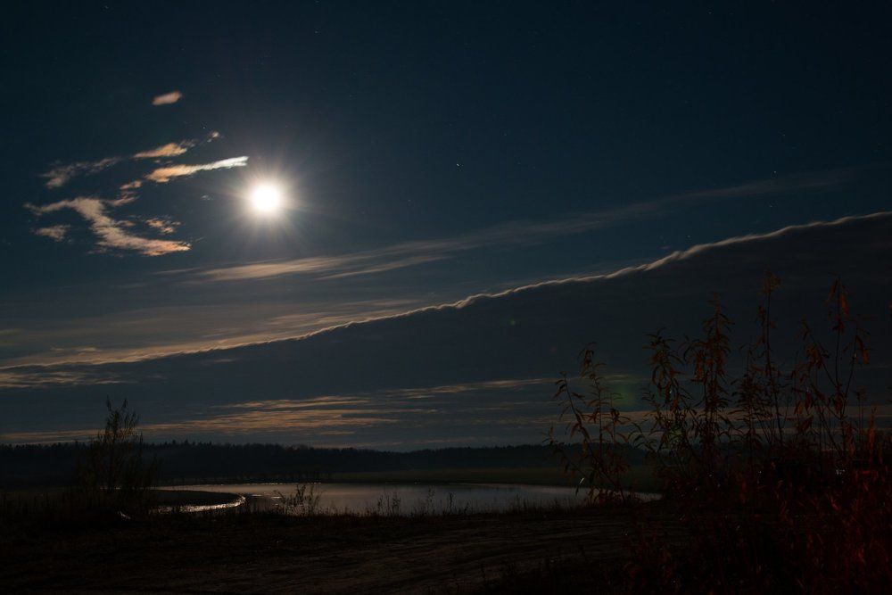 Ночная идилия