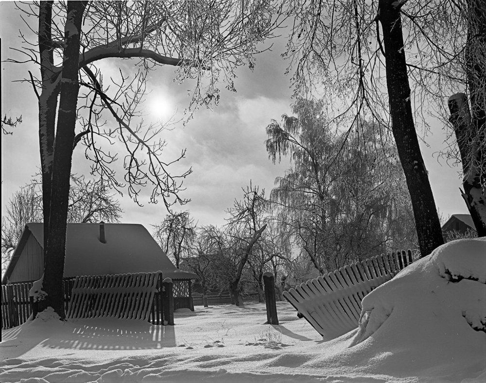 Солнечный день