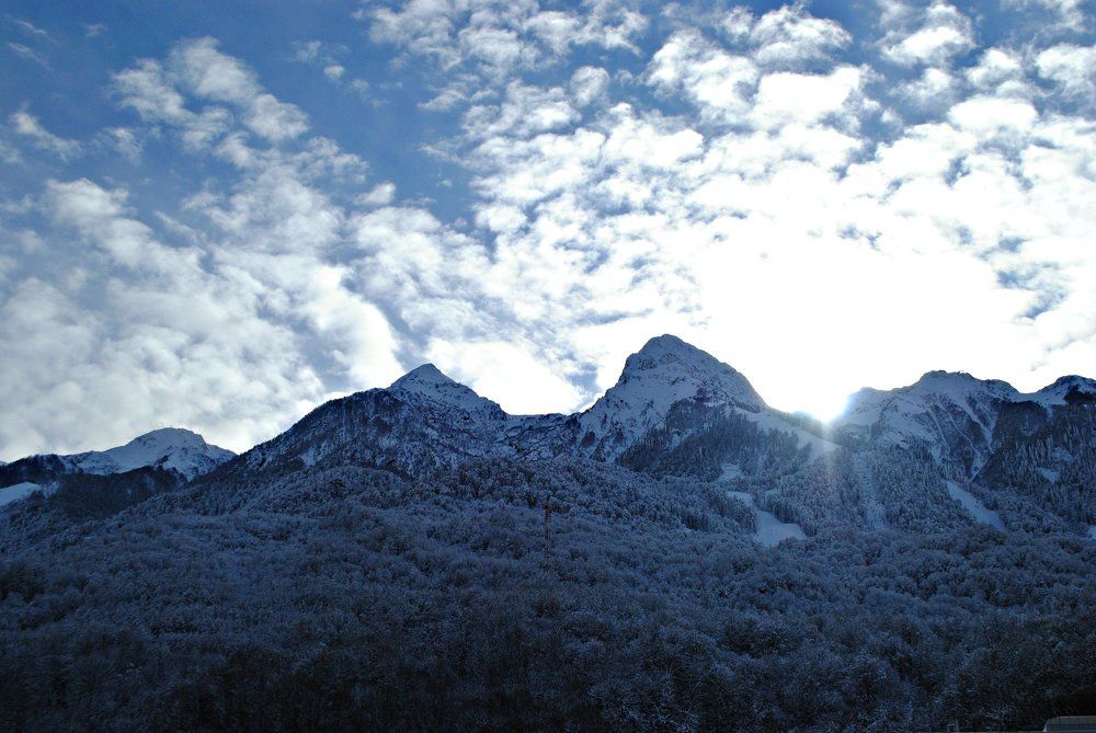 Природа.Сочи