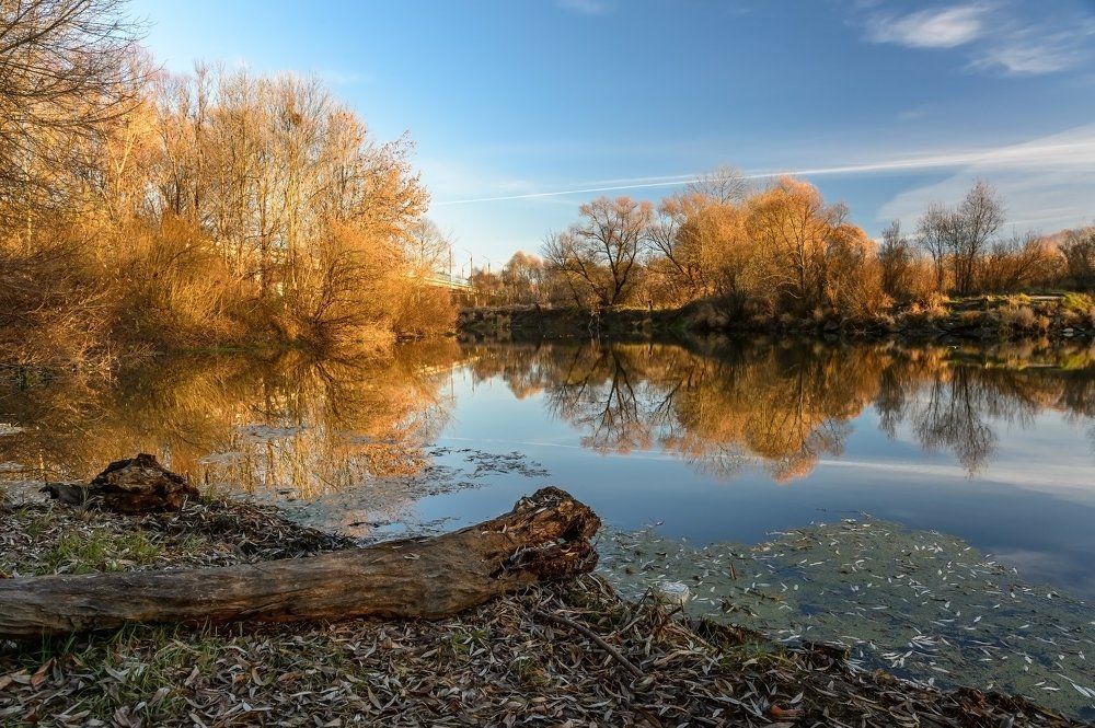 Осенний берег