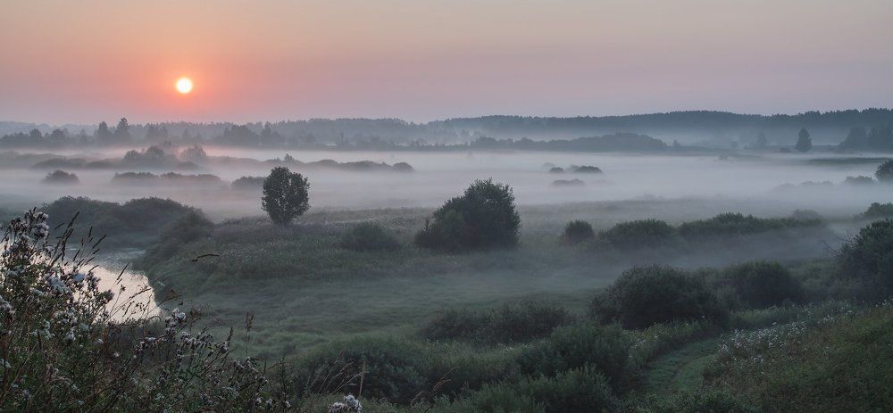 В царственном покое