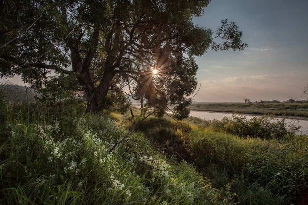 У молодого Днепра