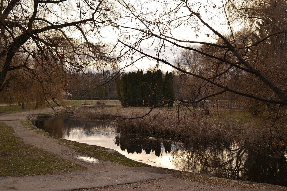 Островок природы