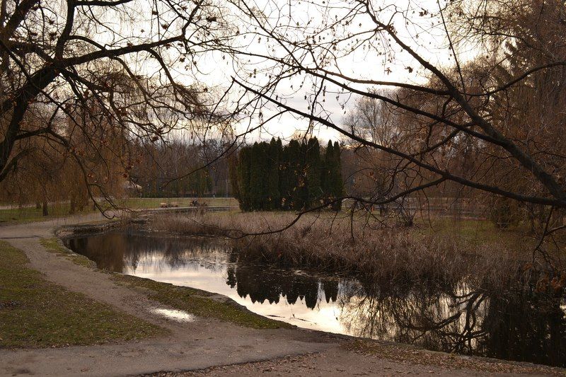 Олег Омелянчук, Ukraine