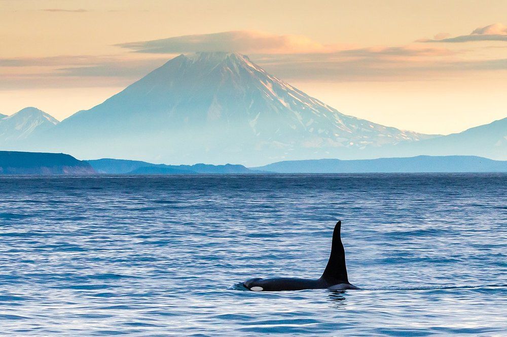 Первозданная Камчатка