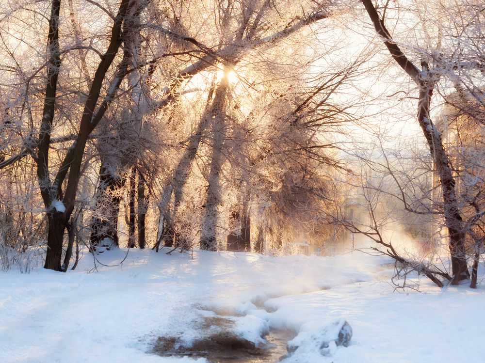 Красота где-то рядом