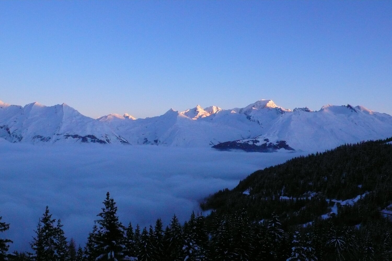 Photo #1152206