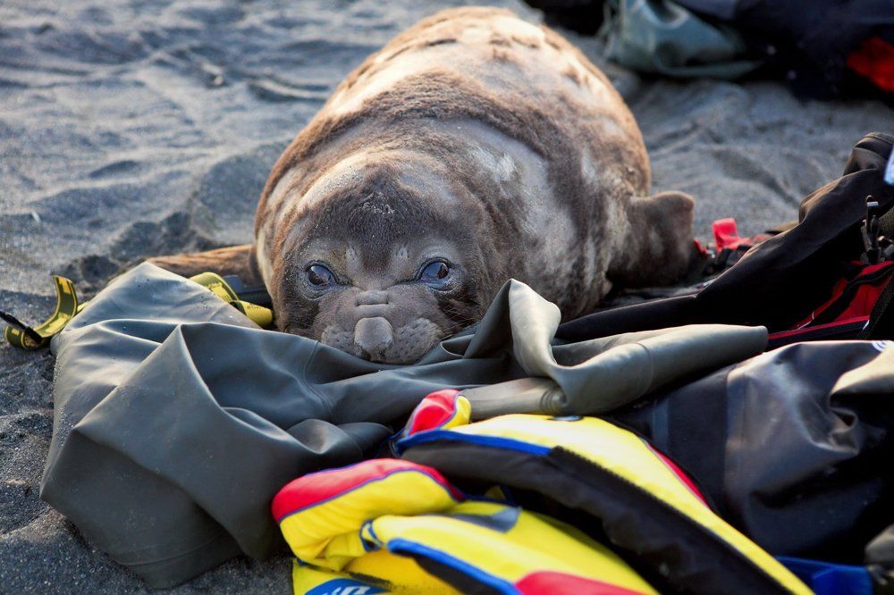 Дегустация