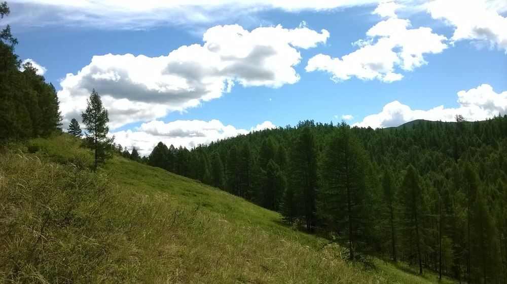 Photograph by Манги Кужугет