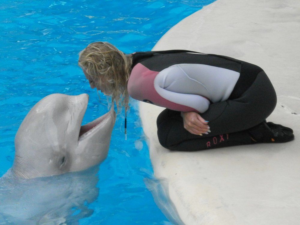 Ты готова к выступлению?