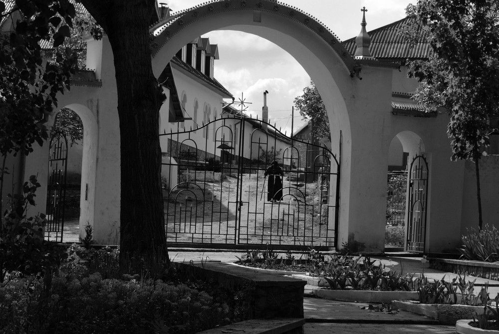 Photograph by Сергей