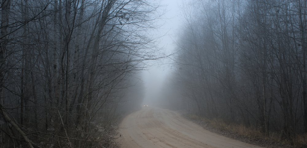 Лесной туман.