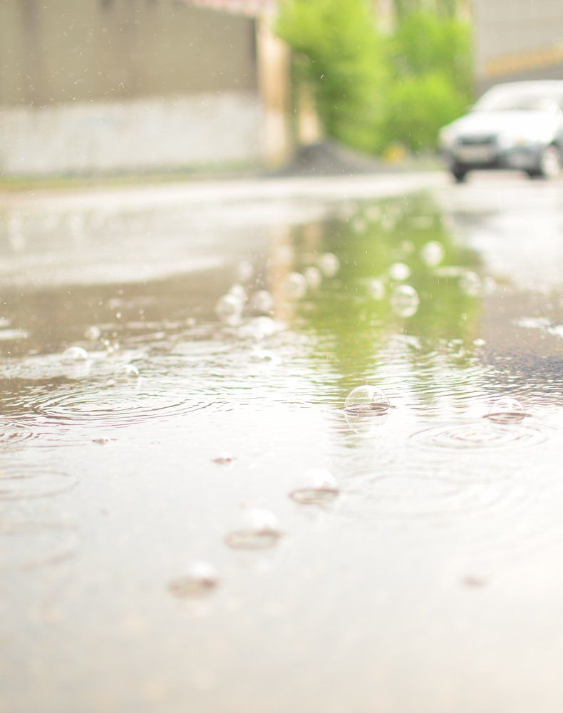 Просто дождь