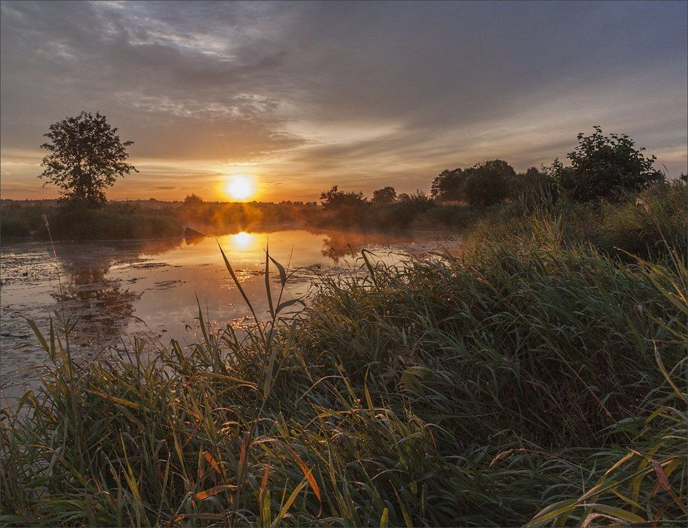 Поклонение солнцу