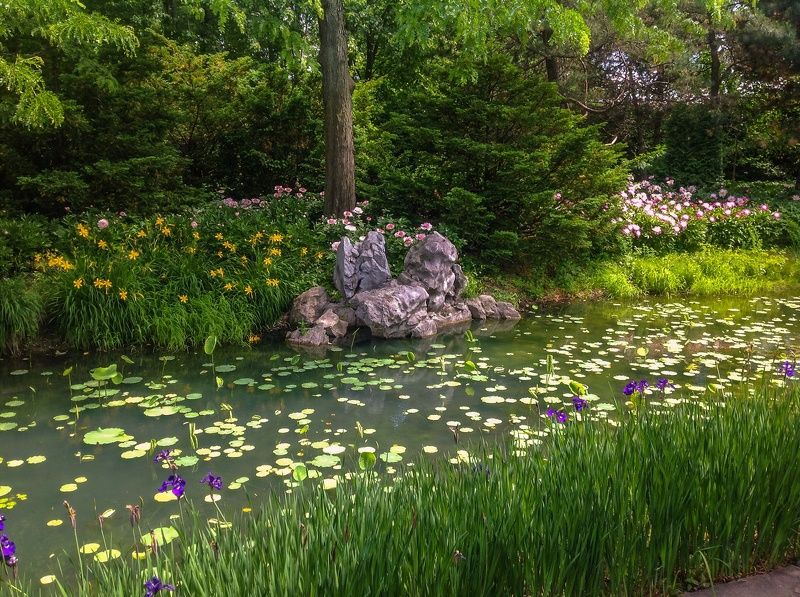 Светлана, Canada