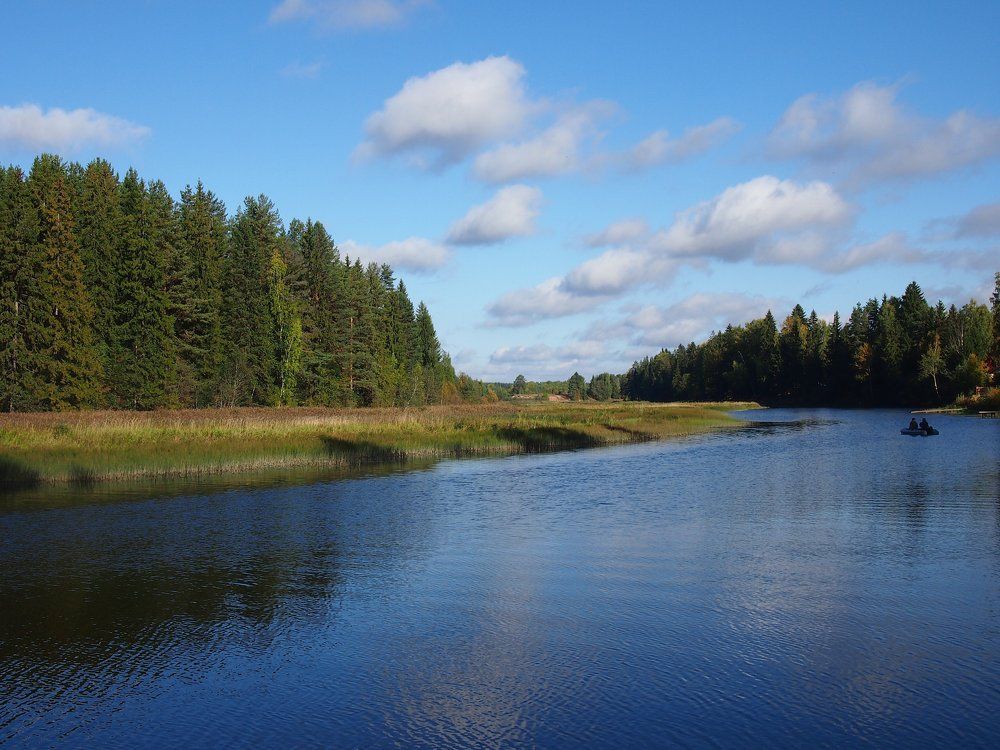 Водное спокойствие