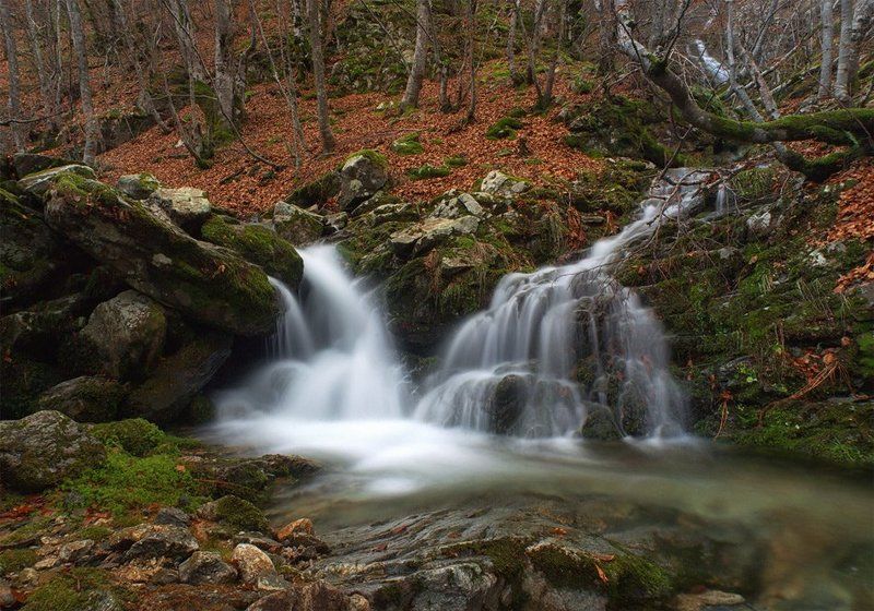 M.Mestanov, Bulgaria