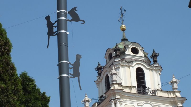 Борис Орлов, Lithuania