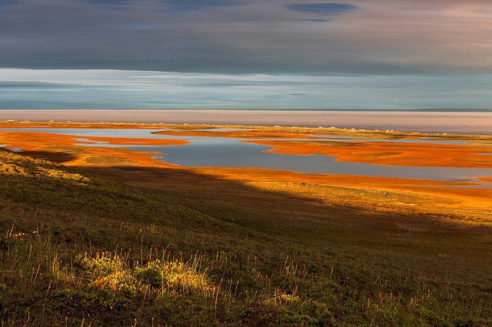 Золотое лето