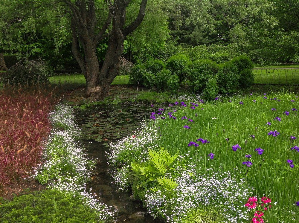 Лесная политра...