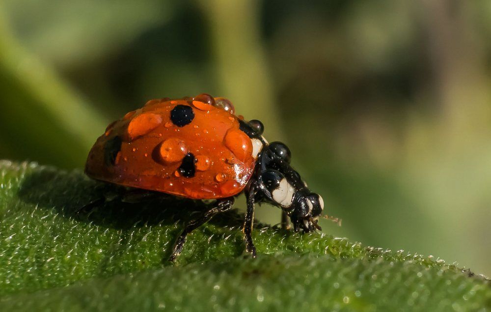 Photograph by Viktor Makarov