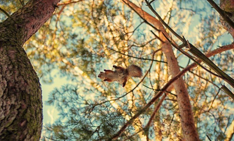 Yesmanovich Vadzim, Belarus