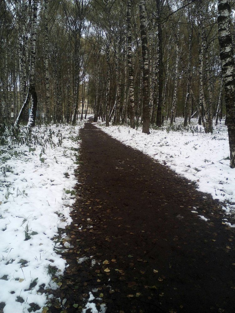 Photograph by Елена