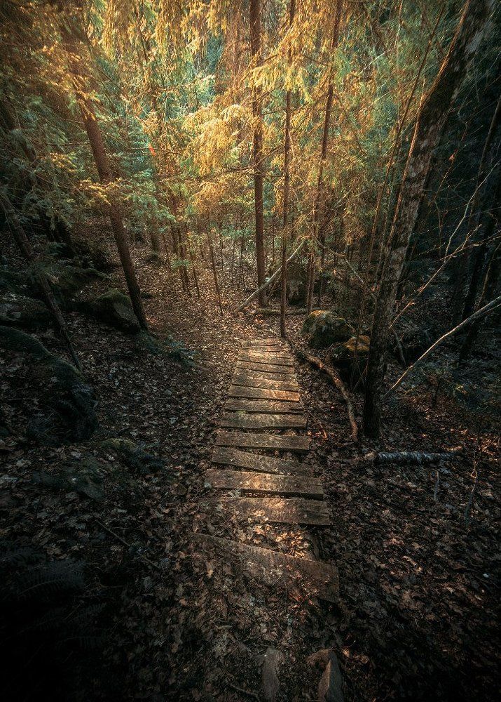 Чертово городище