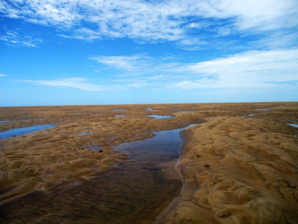 Water in the Dunes