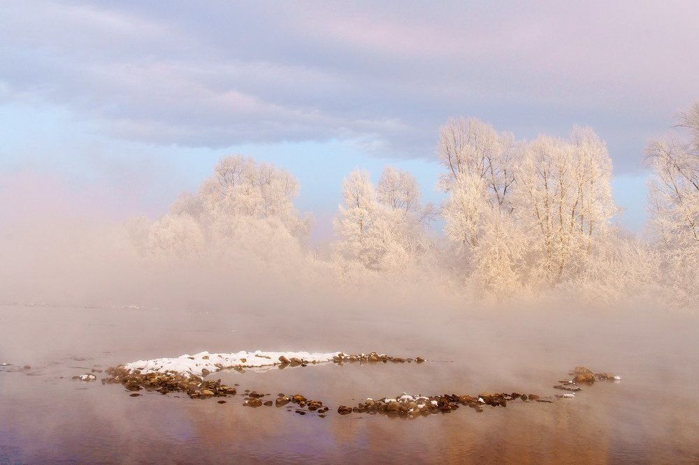 Розовый туман