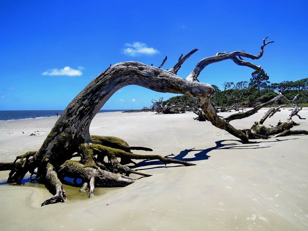 Назло стихии...