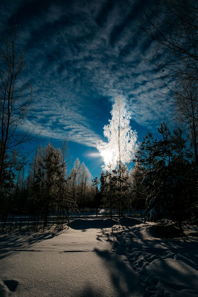 Зимнее сияние