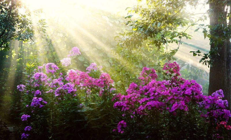 Леонид Натапов, Russia