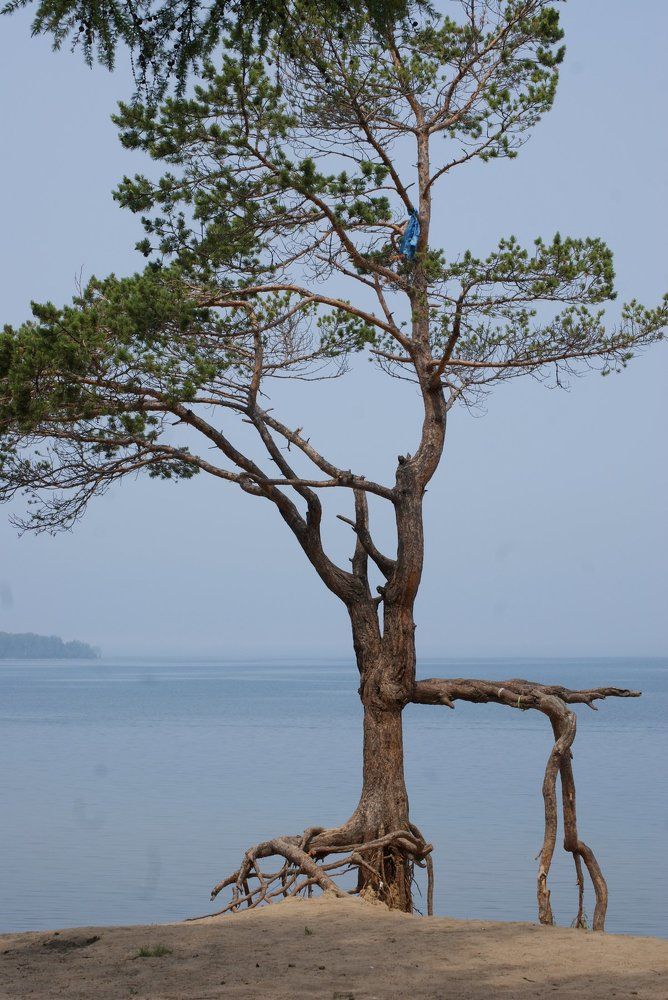 Байкал. Максимиха.