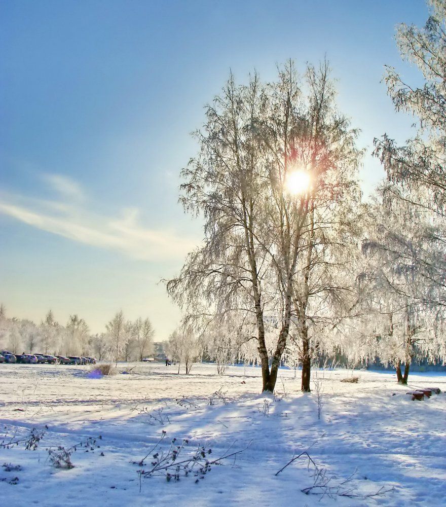 Солнечная зима.