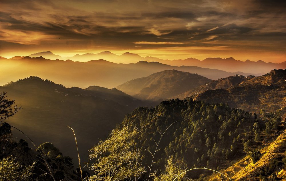 Misty & Golden Sunrise