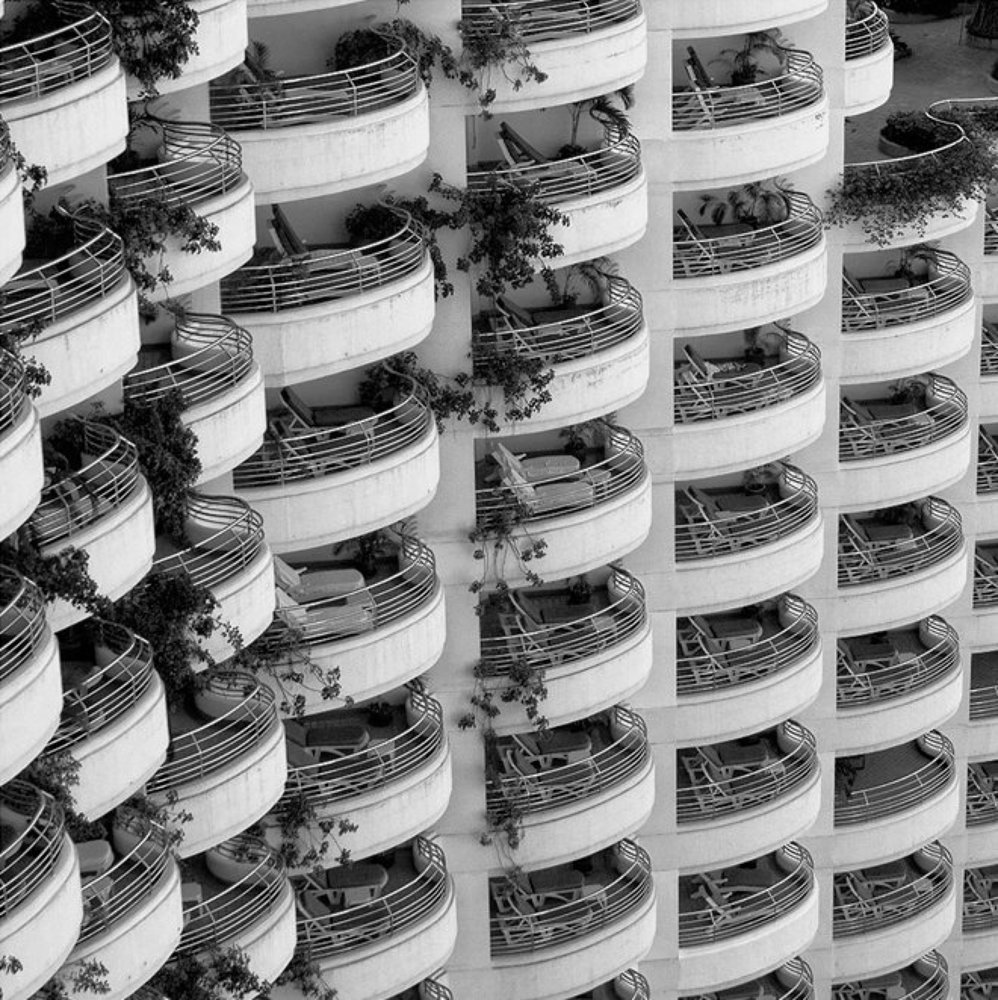 Человечий улей