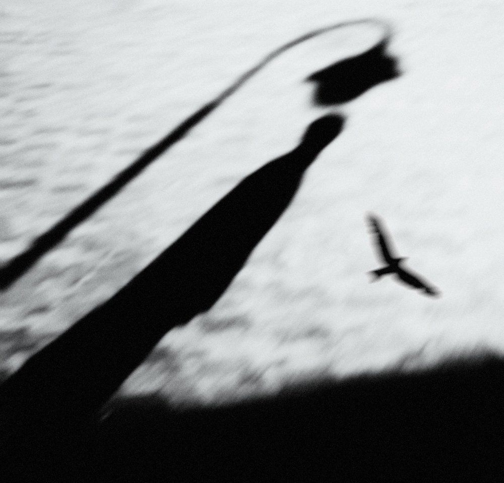 Возращение