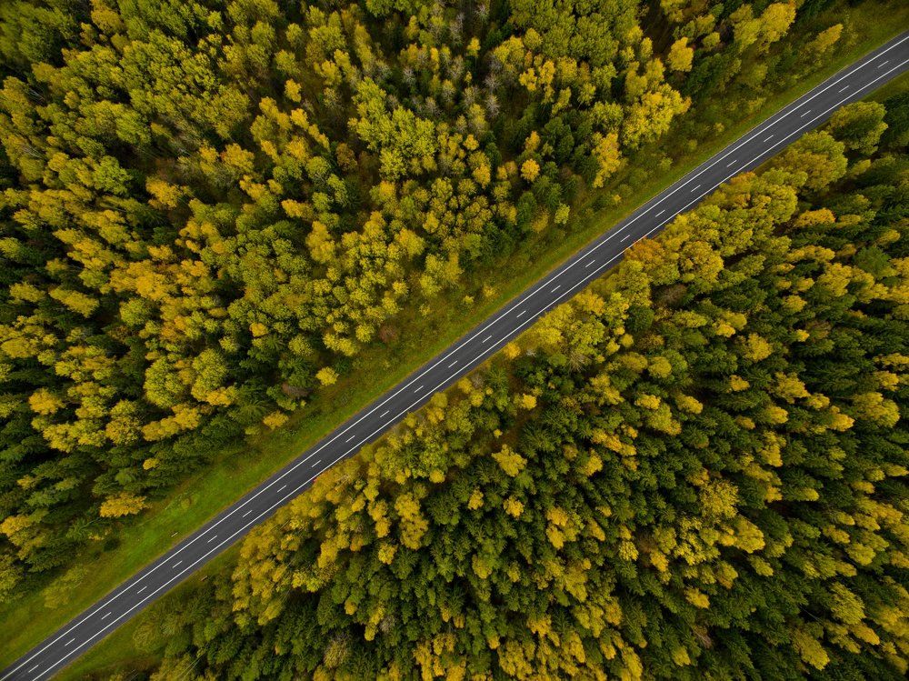 Золотая дорога