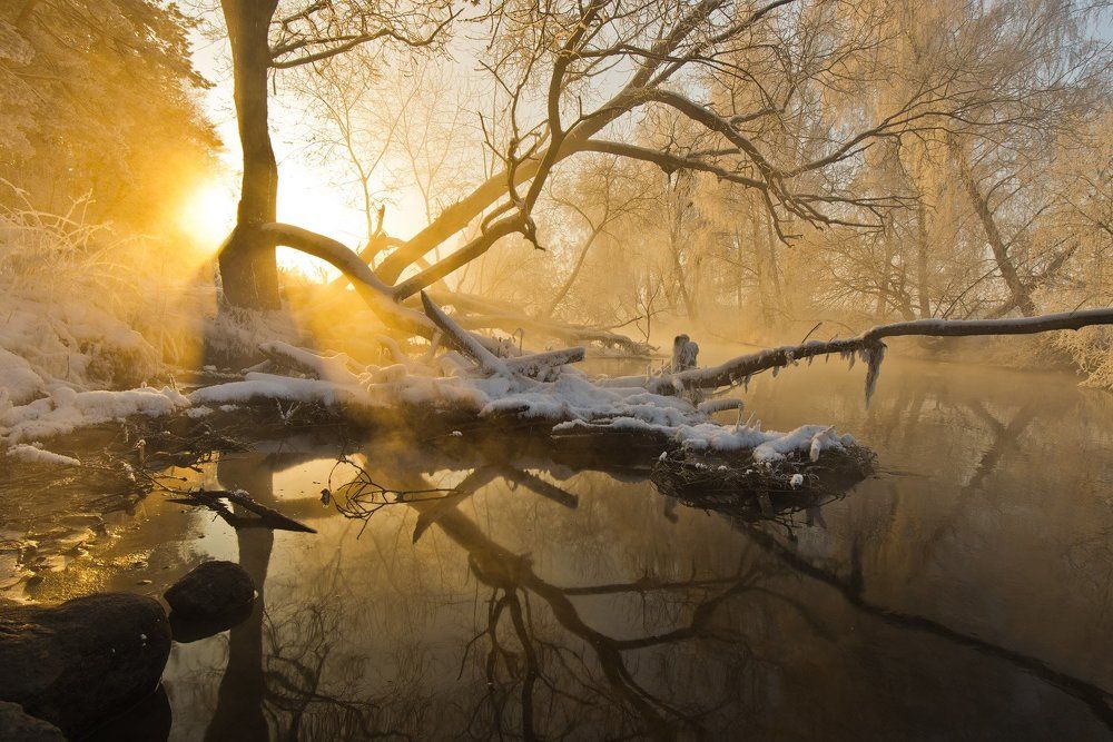 Рассвет на реке