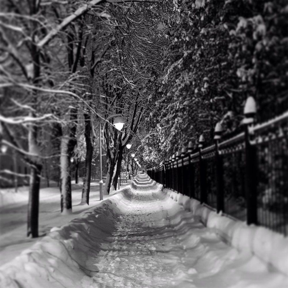 Дорога в пустоту