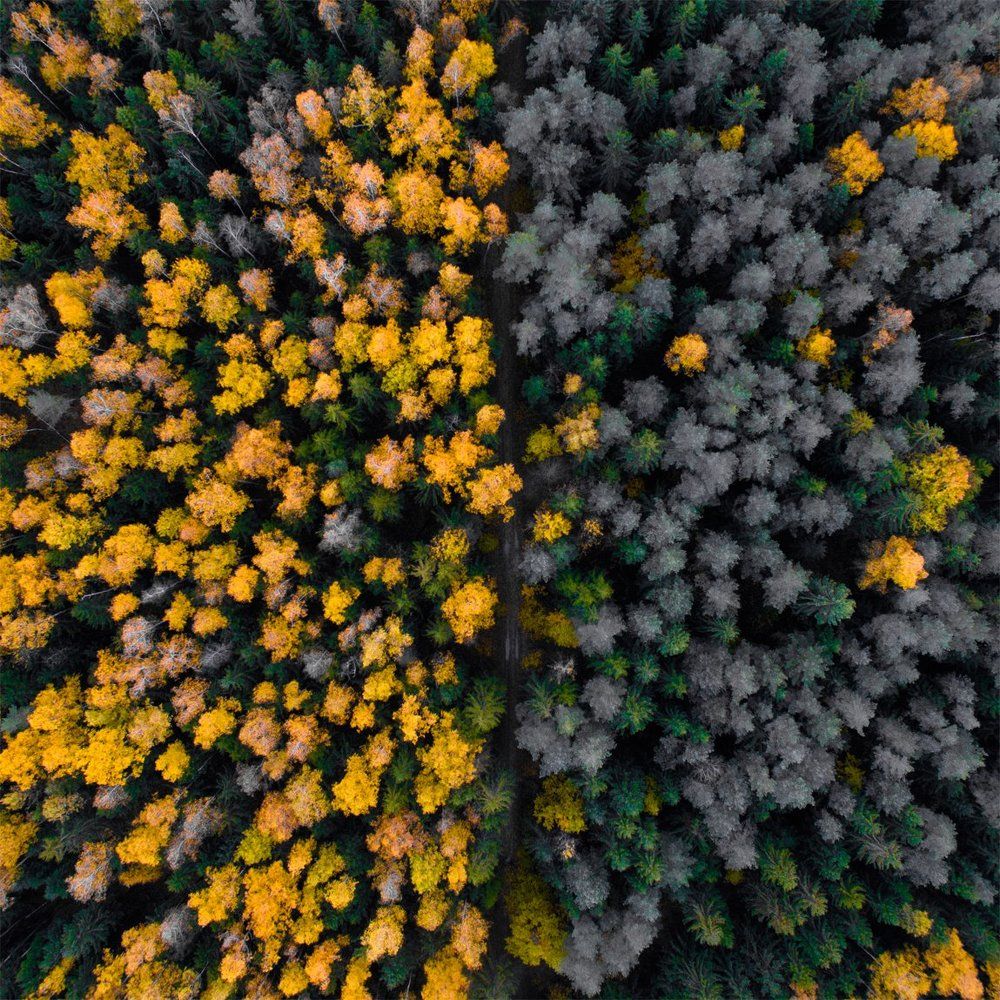 Две половины одного большого