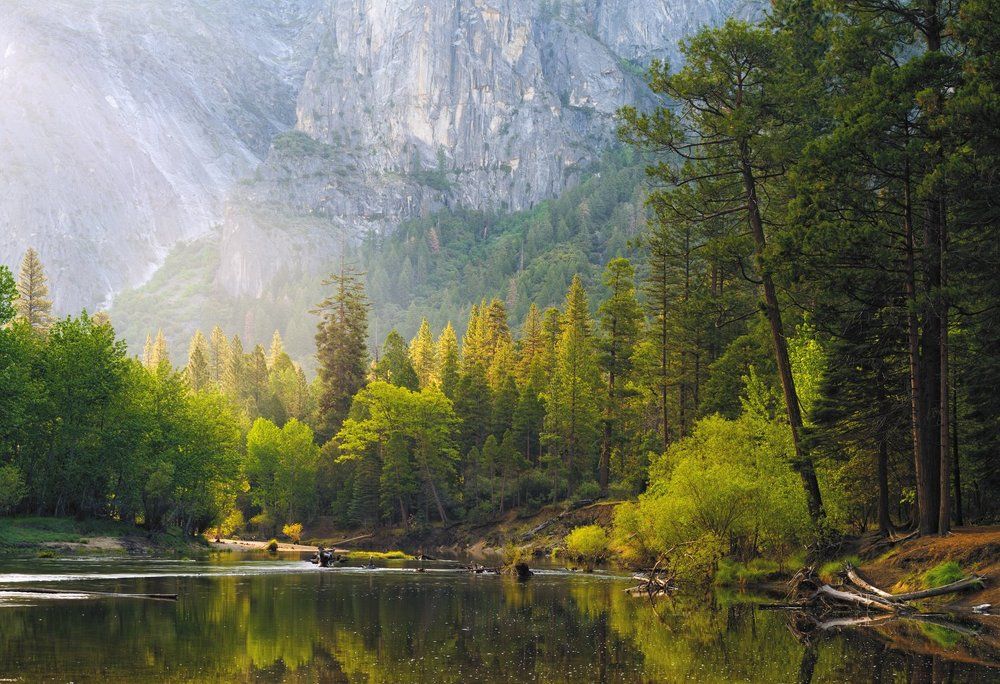 Merced River morning