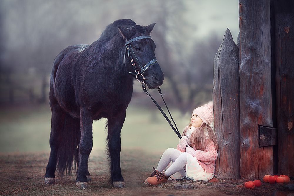 Фотография автора Александра Черемохина