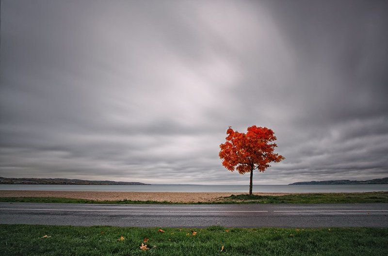 Роман Кухтенков, Georgia
