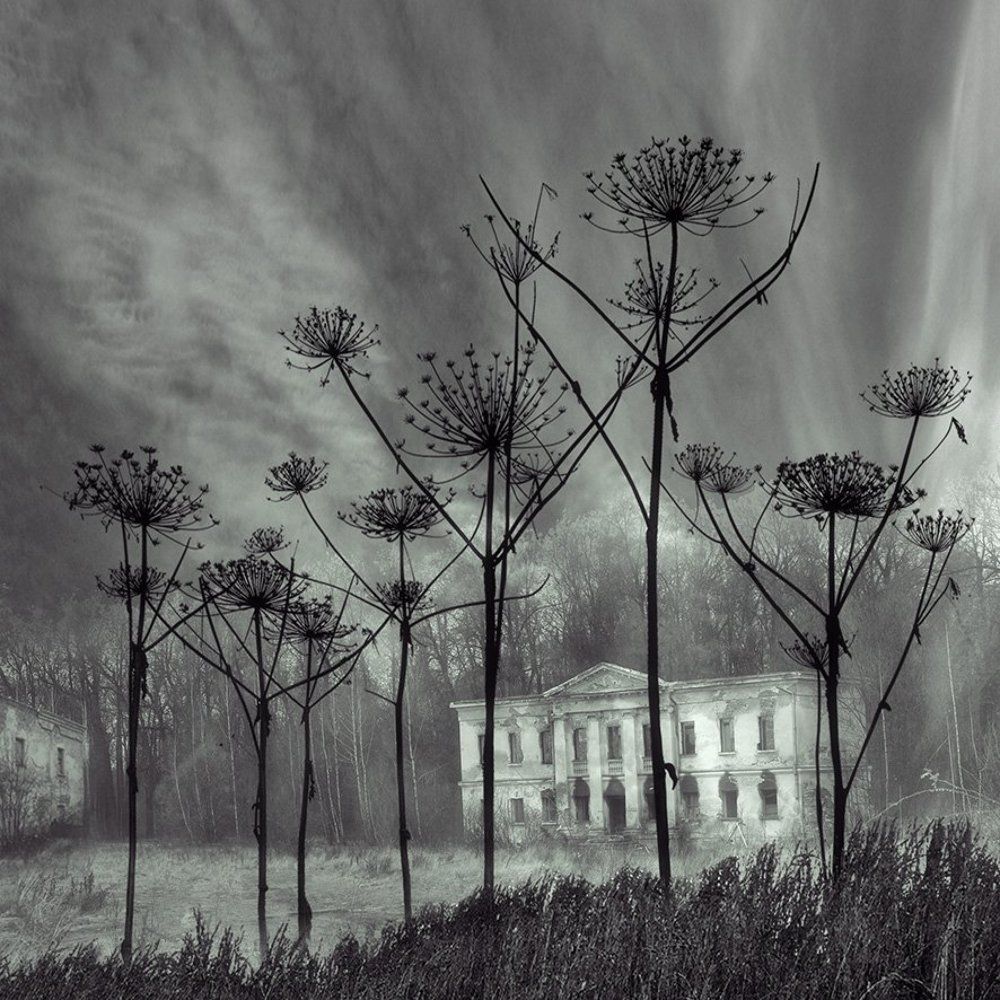 Дворянское гнездо