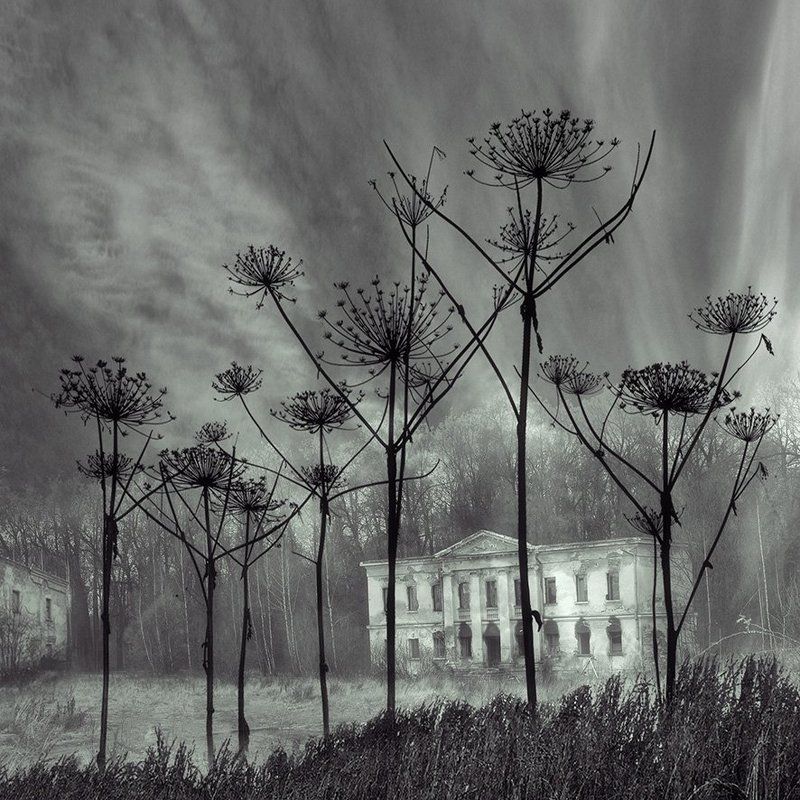 T. Bondarenko, Russia