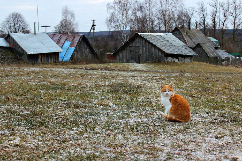 Photograph by Олеся