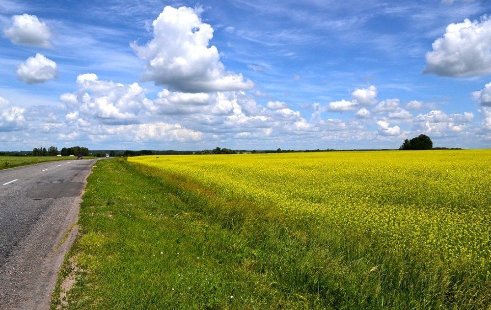 яркость красок природы